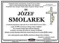 Gołębie zdjęcie
